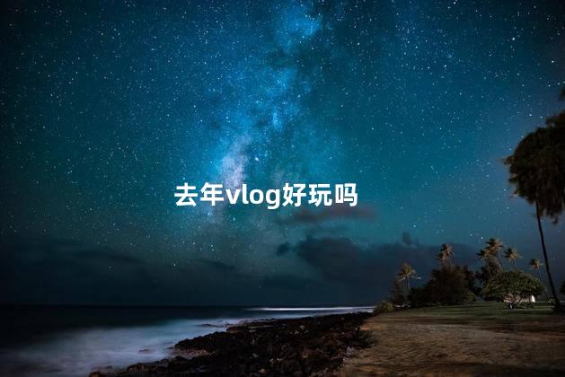 去年vlog好玩吗