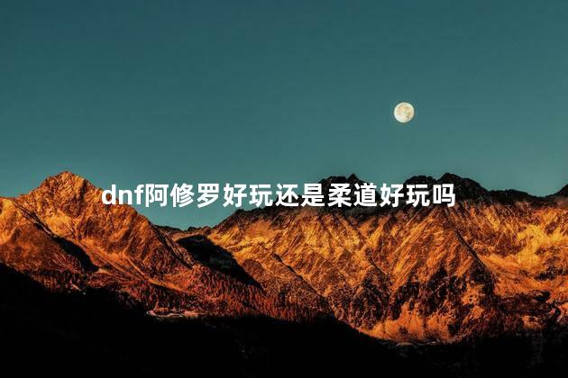 dnf阿修罗好玩还是柔道好玩吗