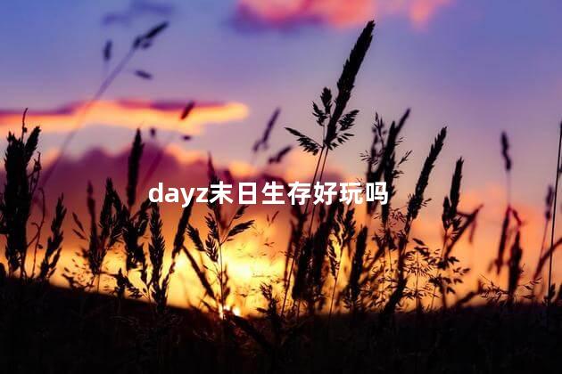 dayz末日生存好玩吗