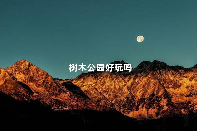 树木公园好玩吗