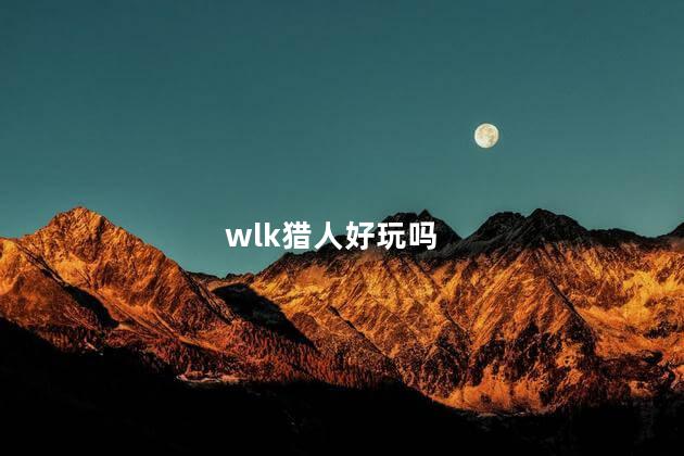 wlk猎人好玩吗