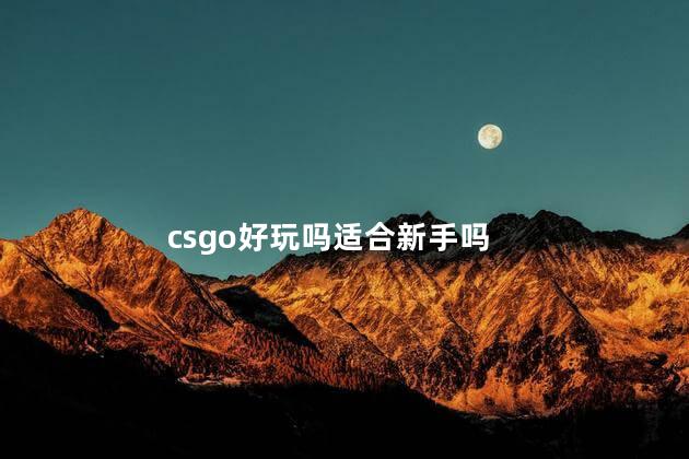 csgo好玩吗适合新手吗