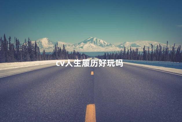 cv人生履历好玩吗