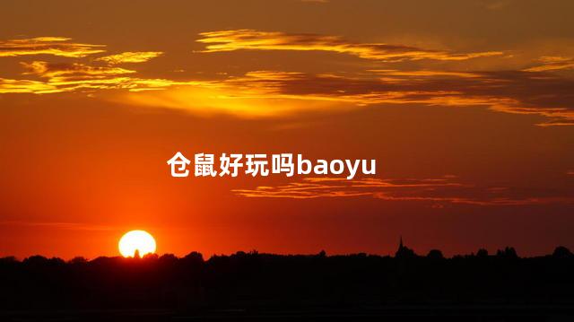 仓鼠好玩吗baoyu