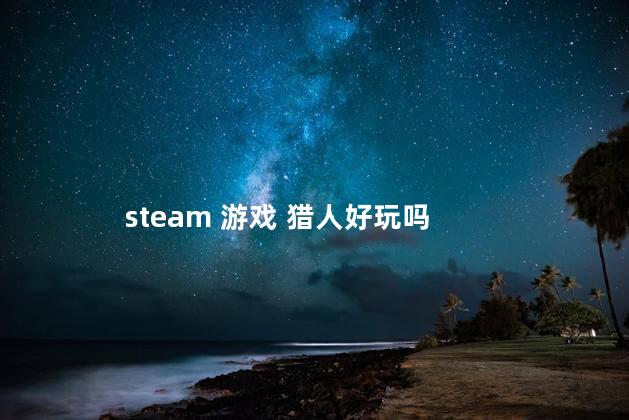 steam 游戏 猎人好玩吗