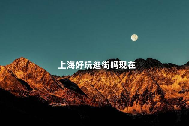 上海好玩逛街吗现在