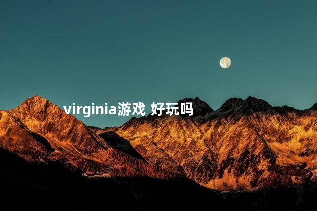 virginia游戏 好玩吗