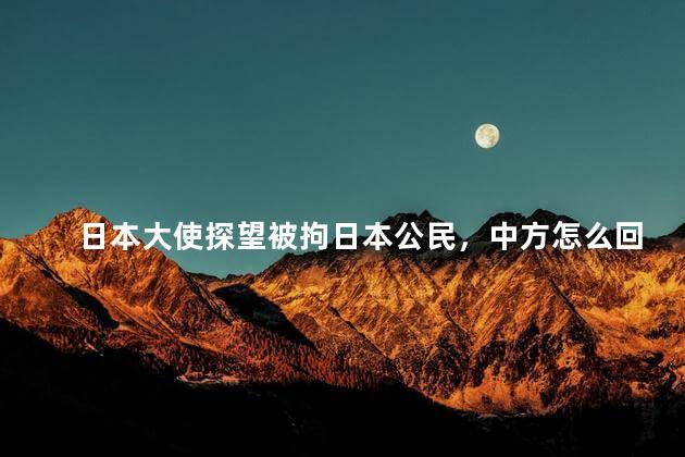 日本大使探望被拘日本公民，中方怎么回应的